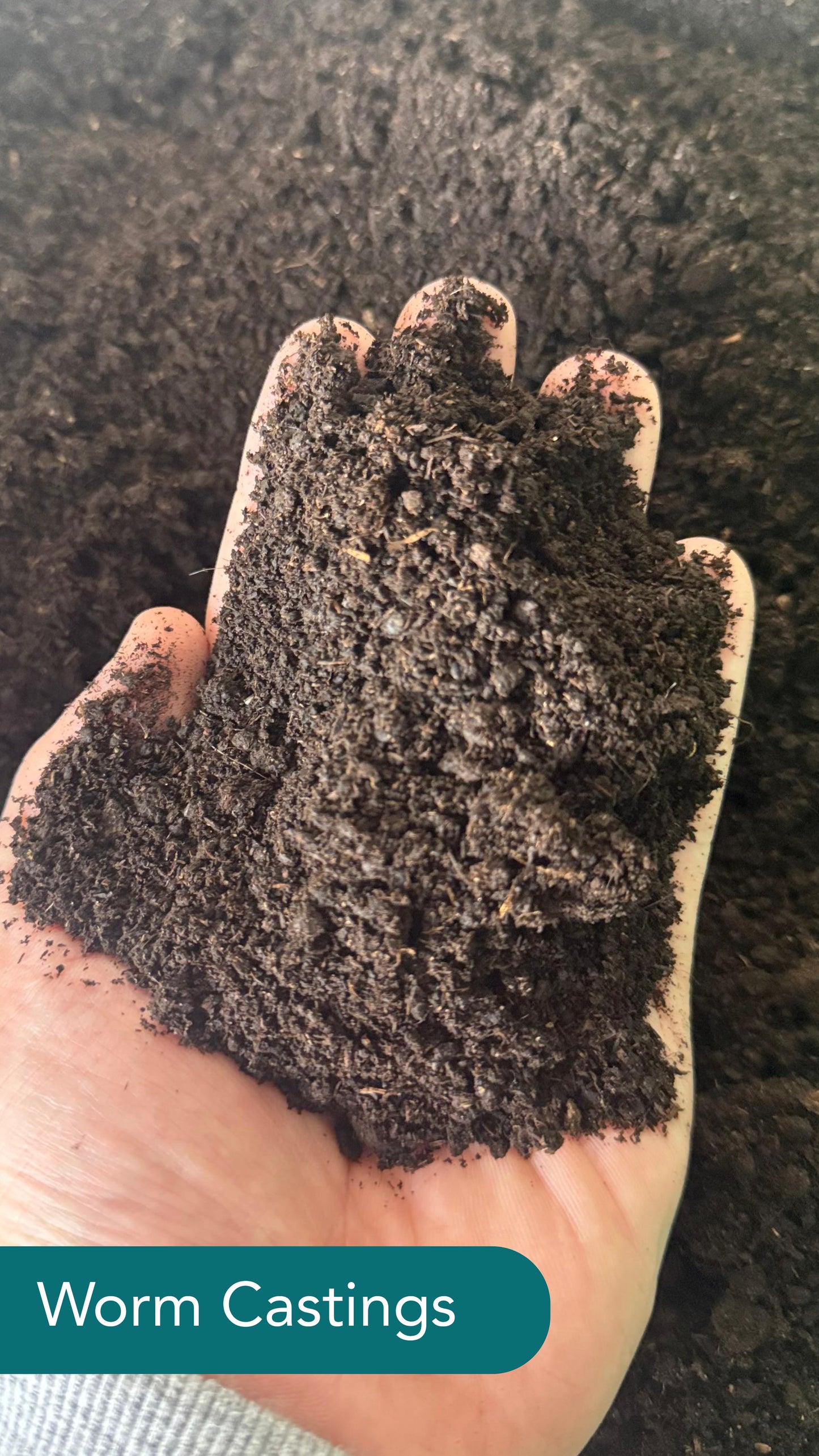 Worm Castings