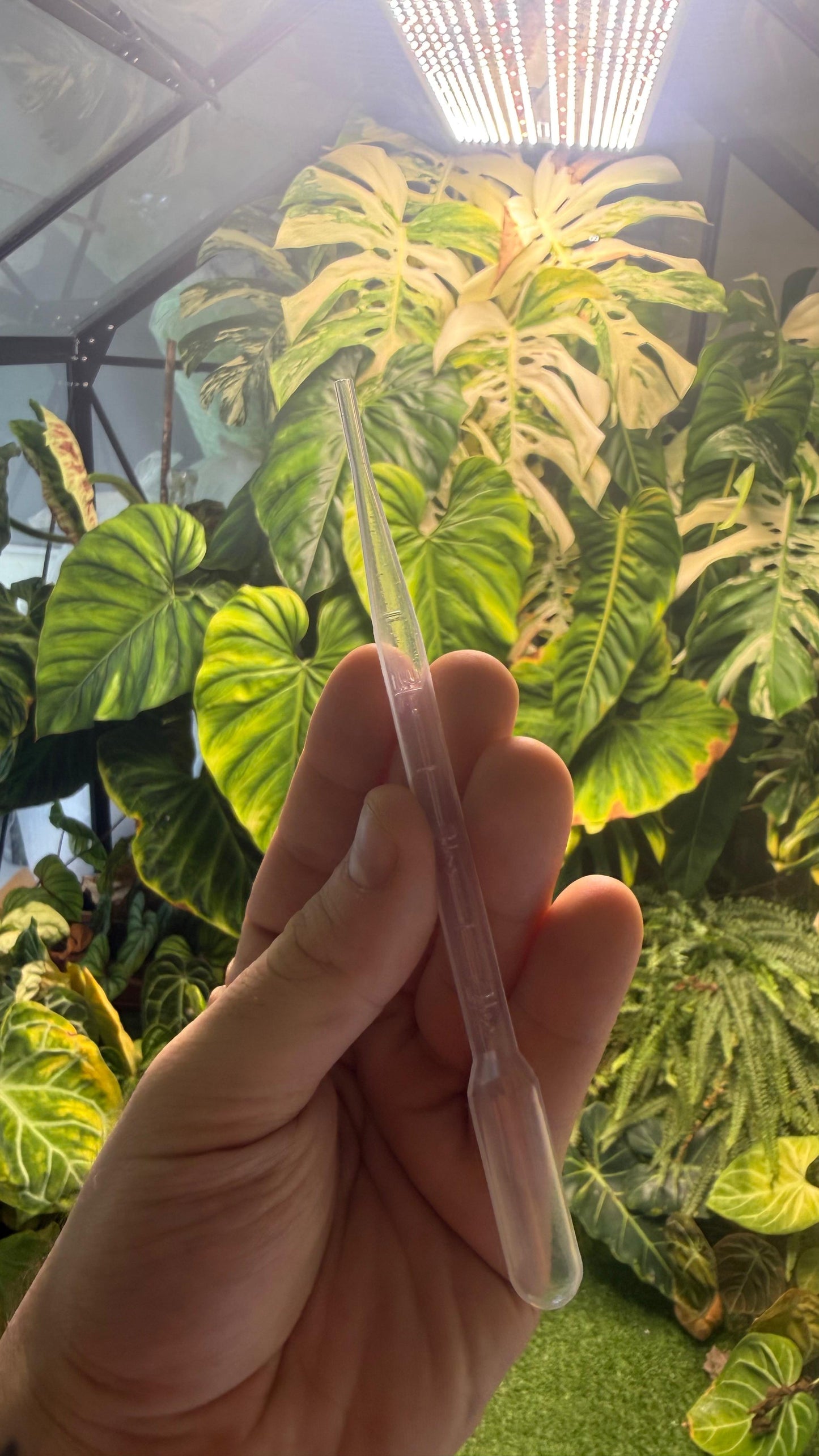 Self-Watering Wick Cord - 2m - 4mm