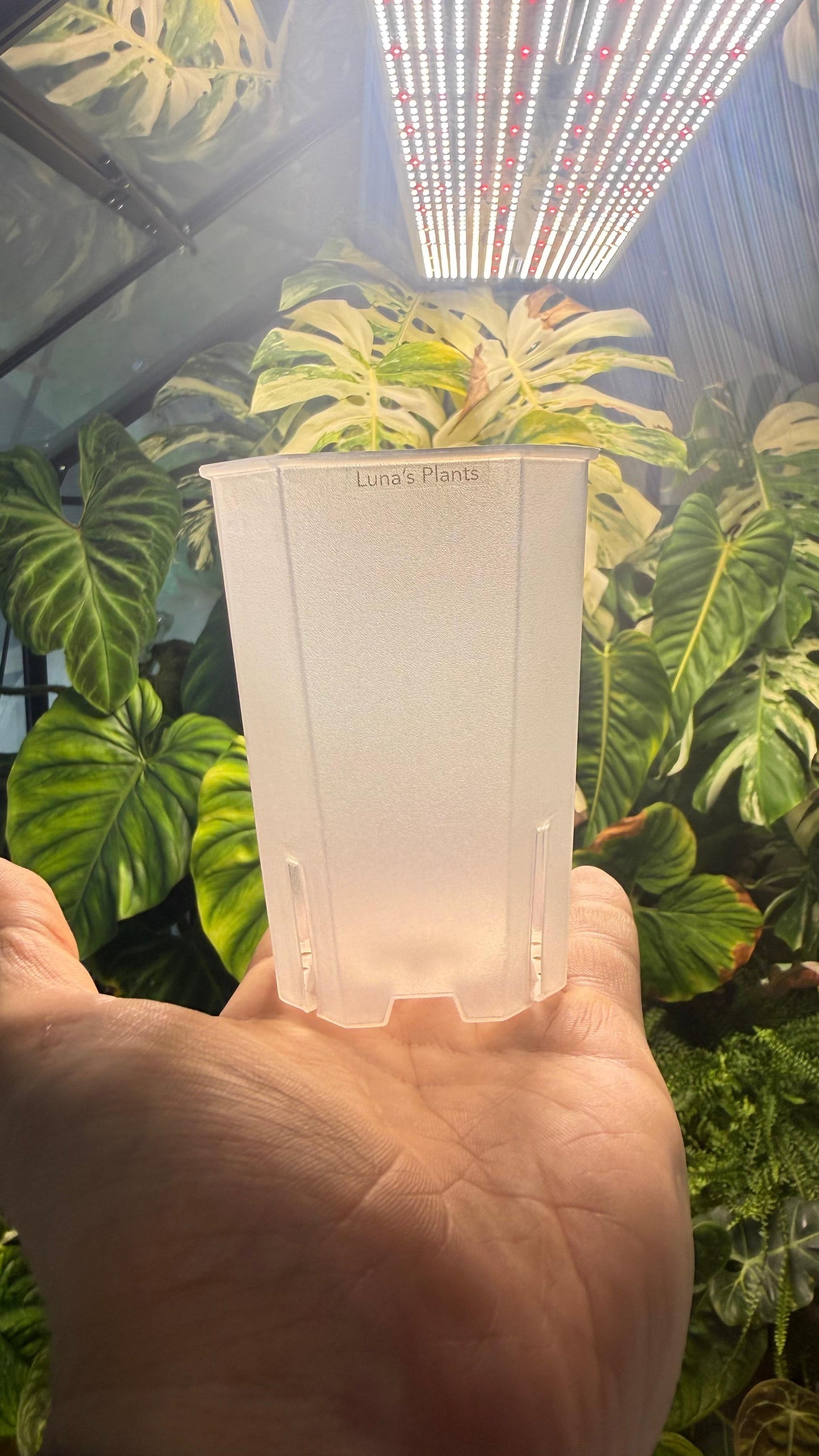 Squared Aroid Tower Pots