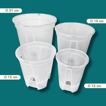 Self-Watering Aroid Pots