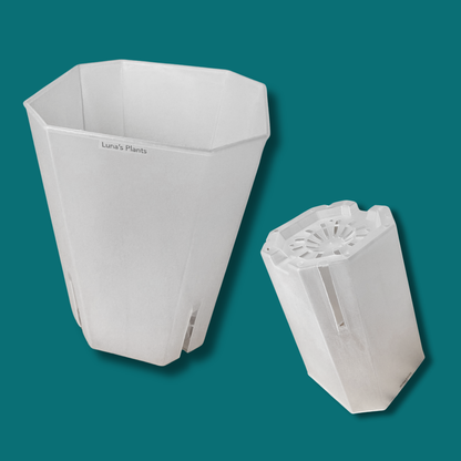 Squared Aroid Tower Pots