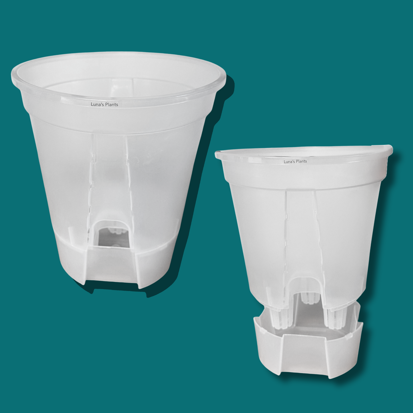 Self-Watering Aroid Pots