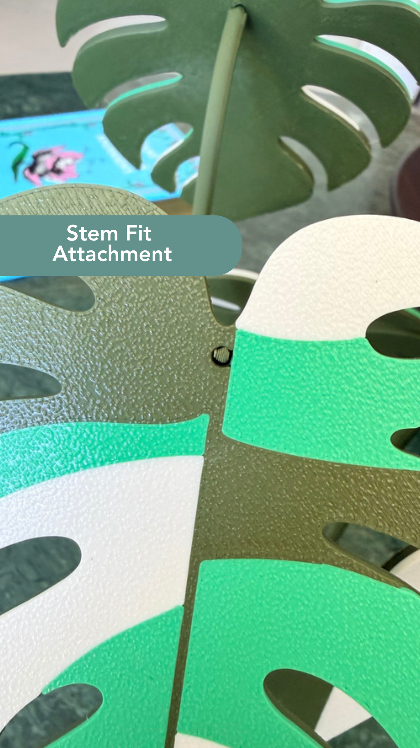 Monstera Coaster Set — Albo / Aurea