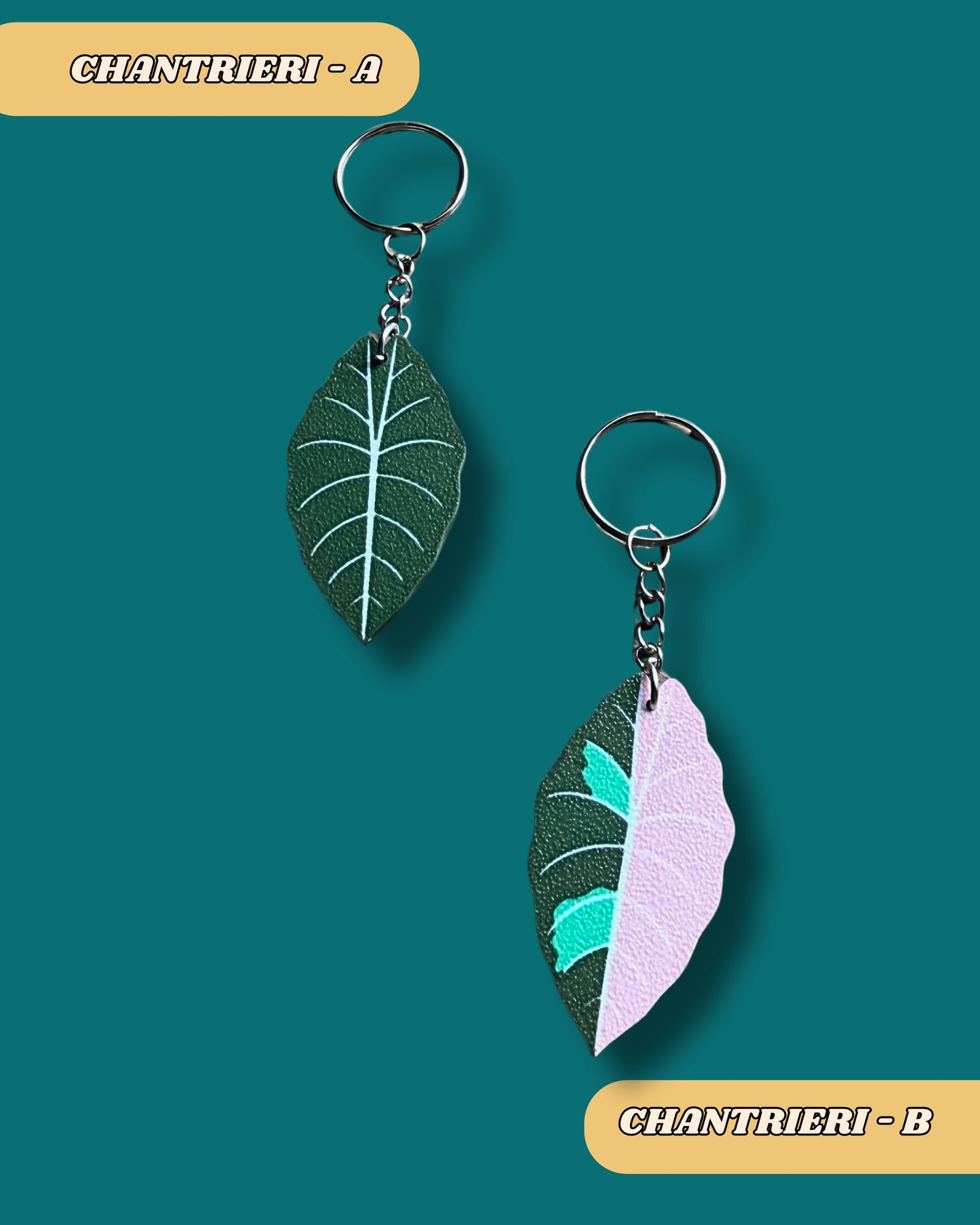 Botanical Leaf Keychains