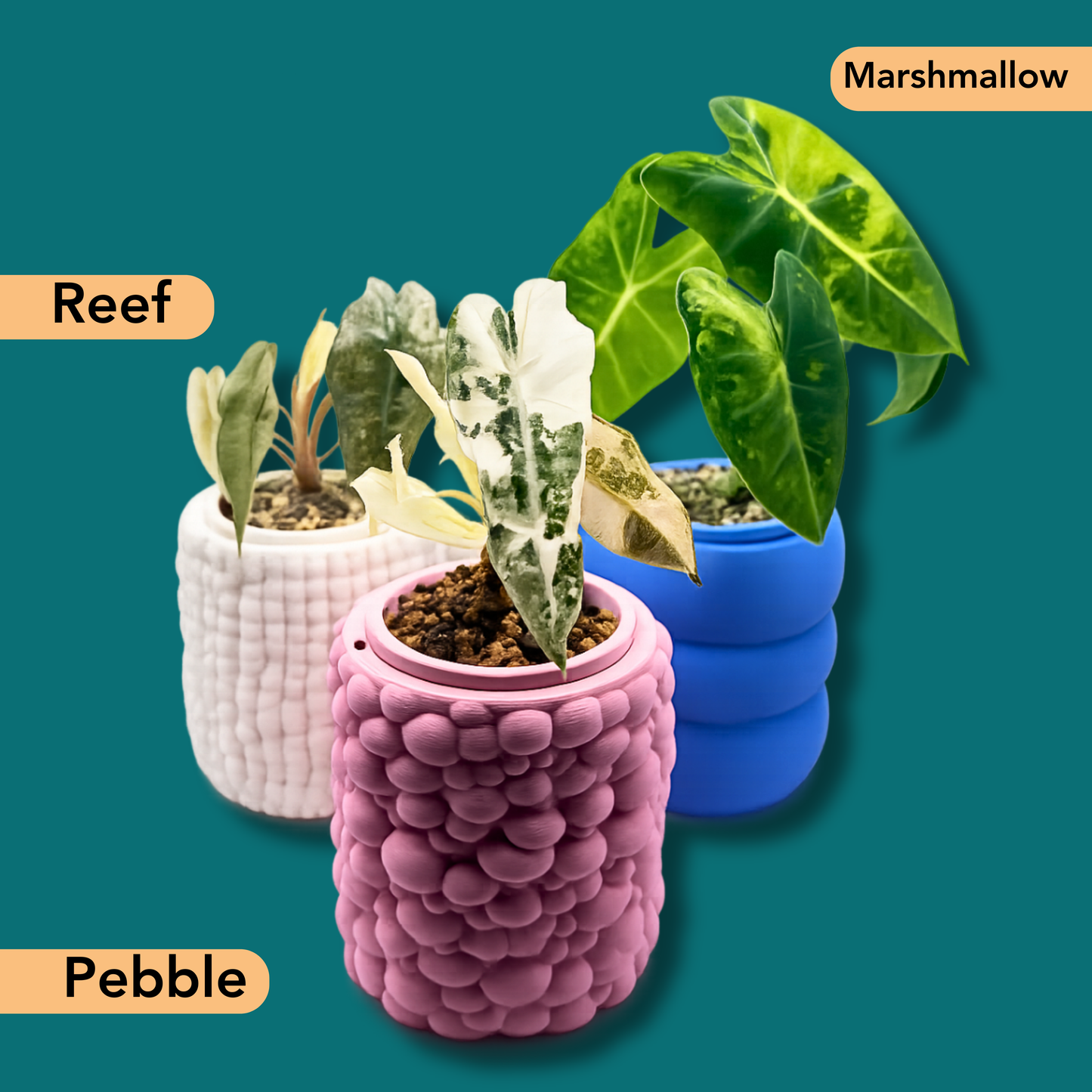 Rhiza System - Grow - Complete Set