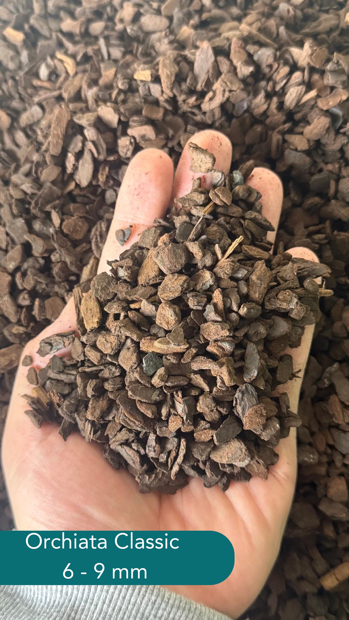 Orchiata Bark