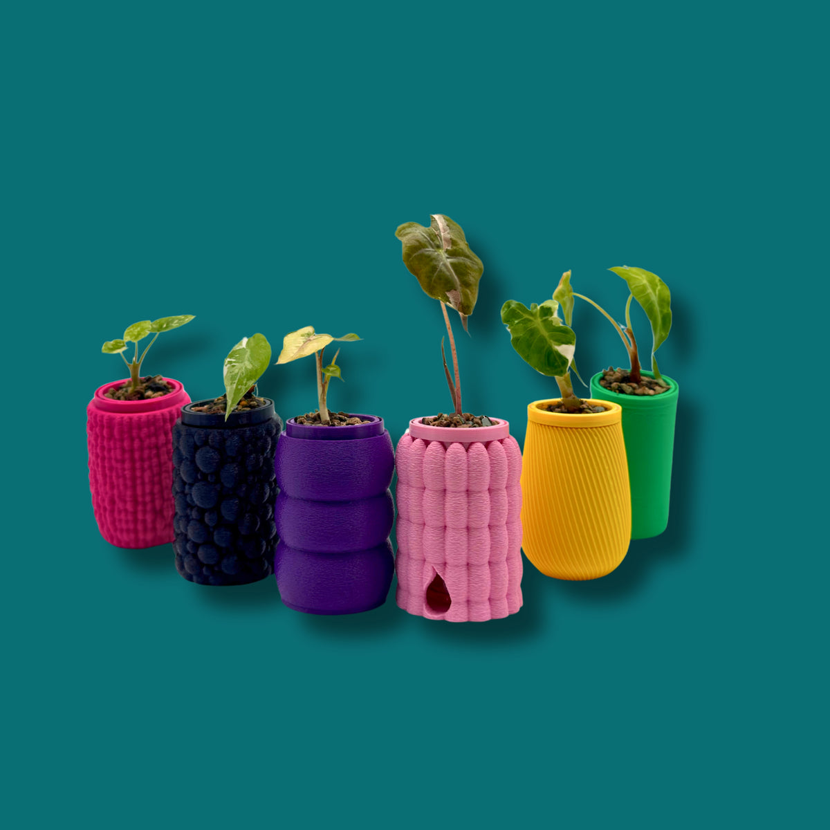 Rhiza System – GROW Mini – Complete Set