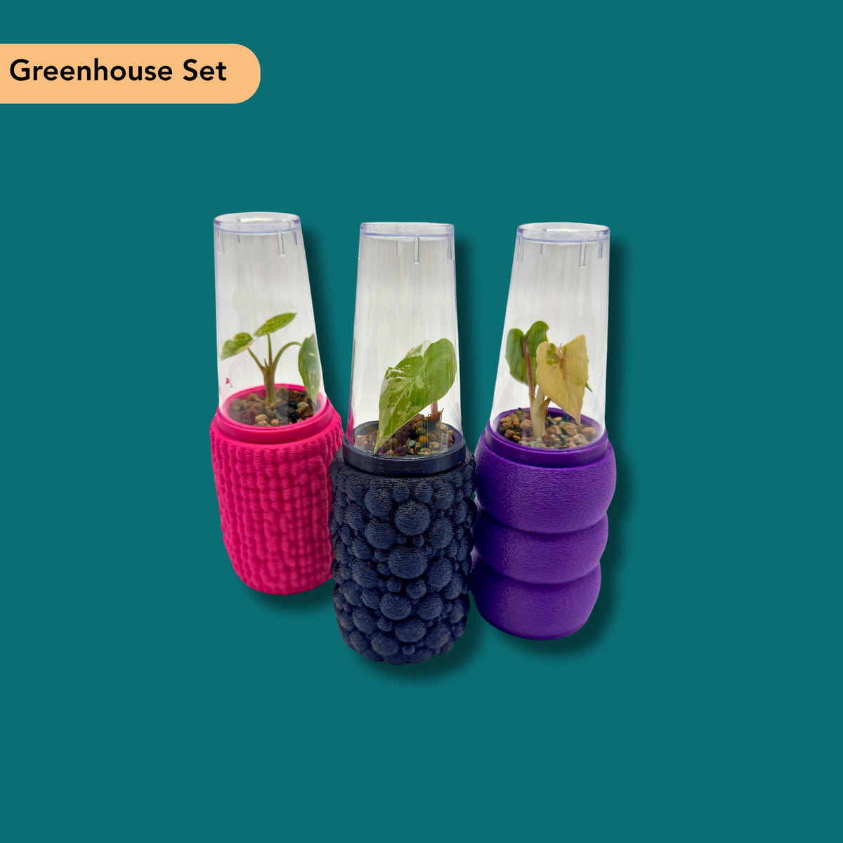 Rhiza System – GROW Mini – Complete Set