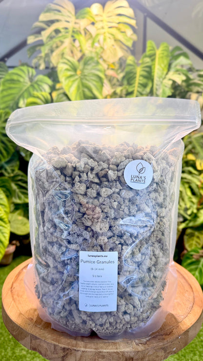 Pumice Granules