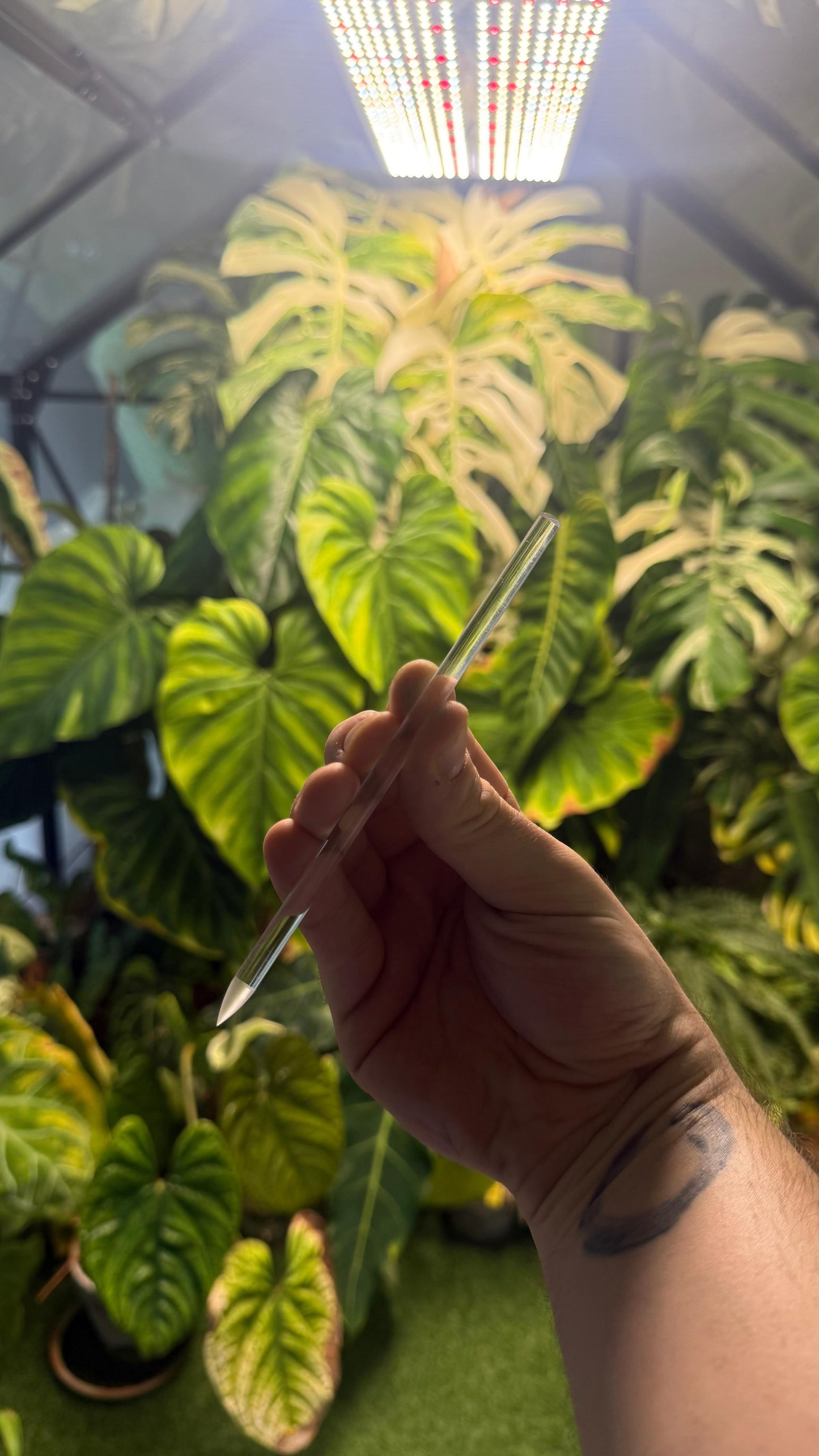 Clear Acrylic Plant Stakes