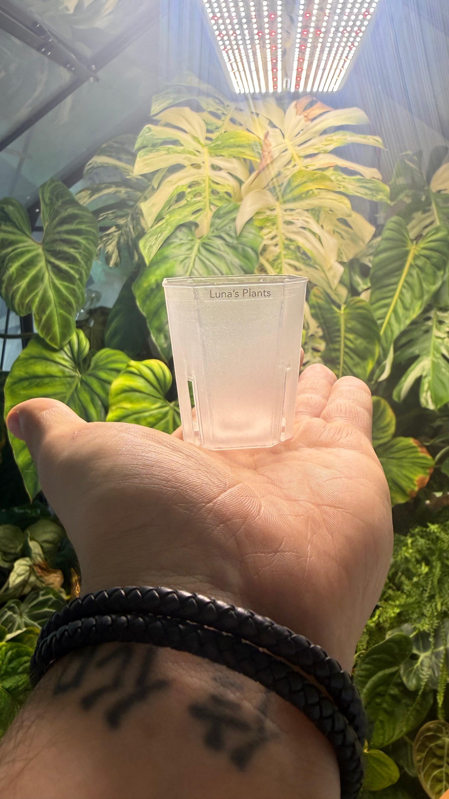 Squared Aroid Tower Pots