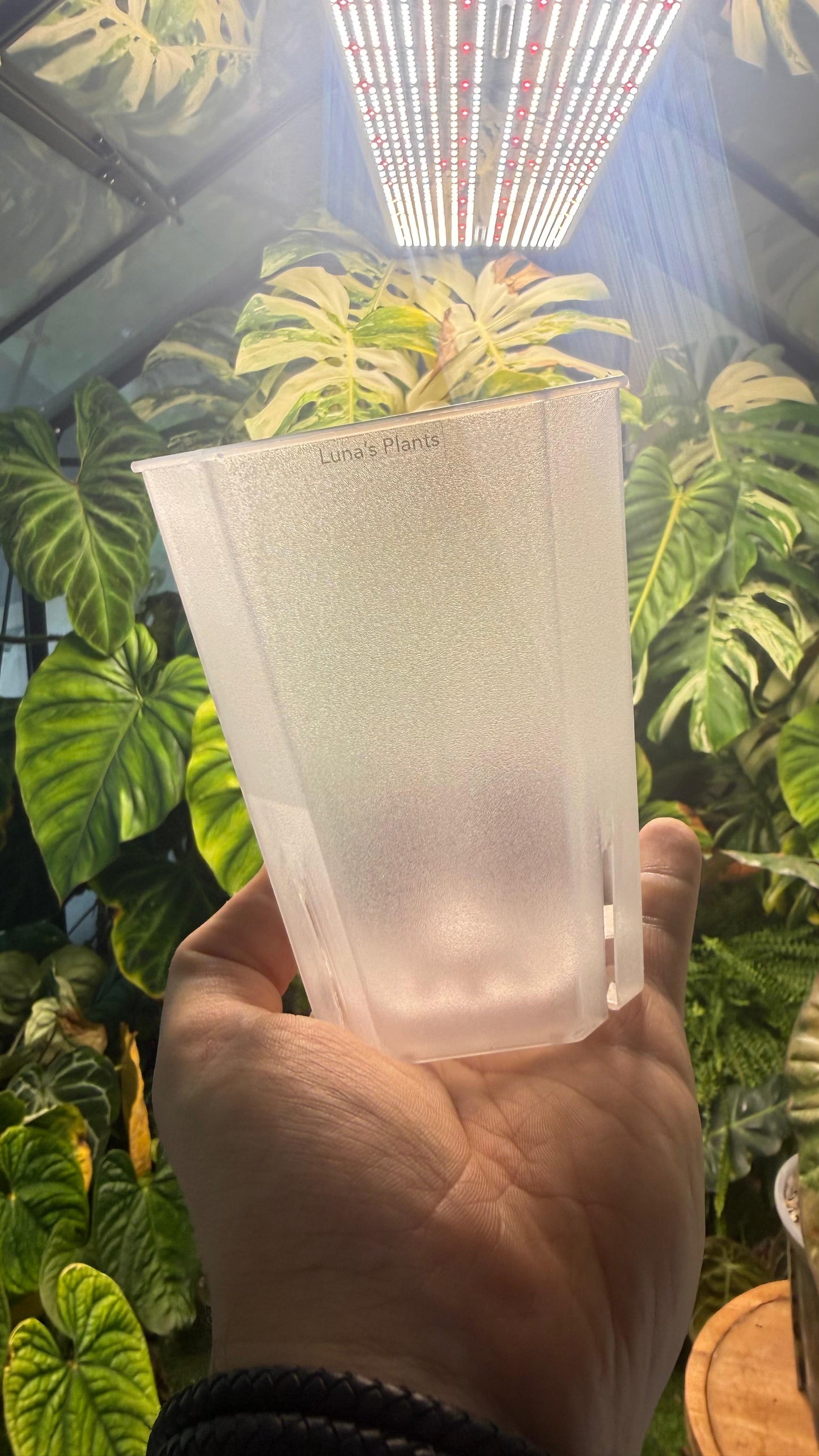 Squared Aroid Tower Pots