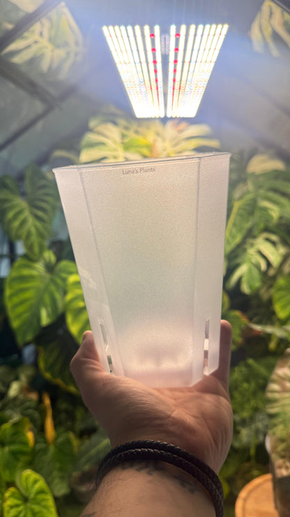 Squared Aroid Tower Pots