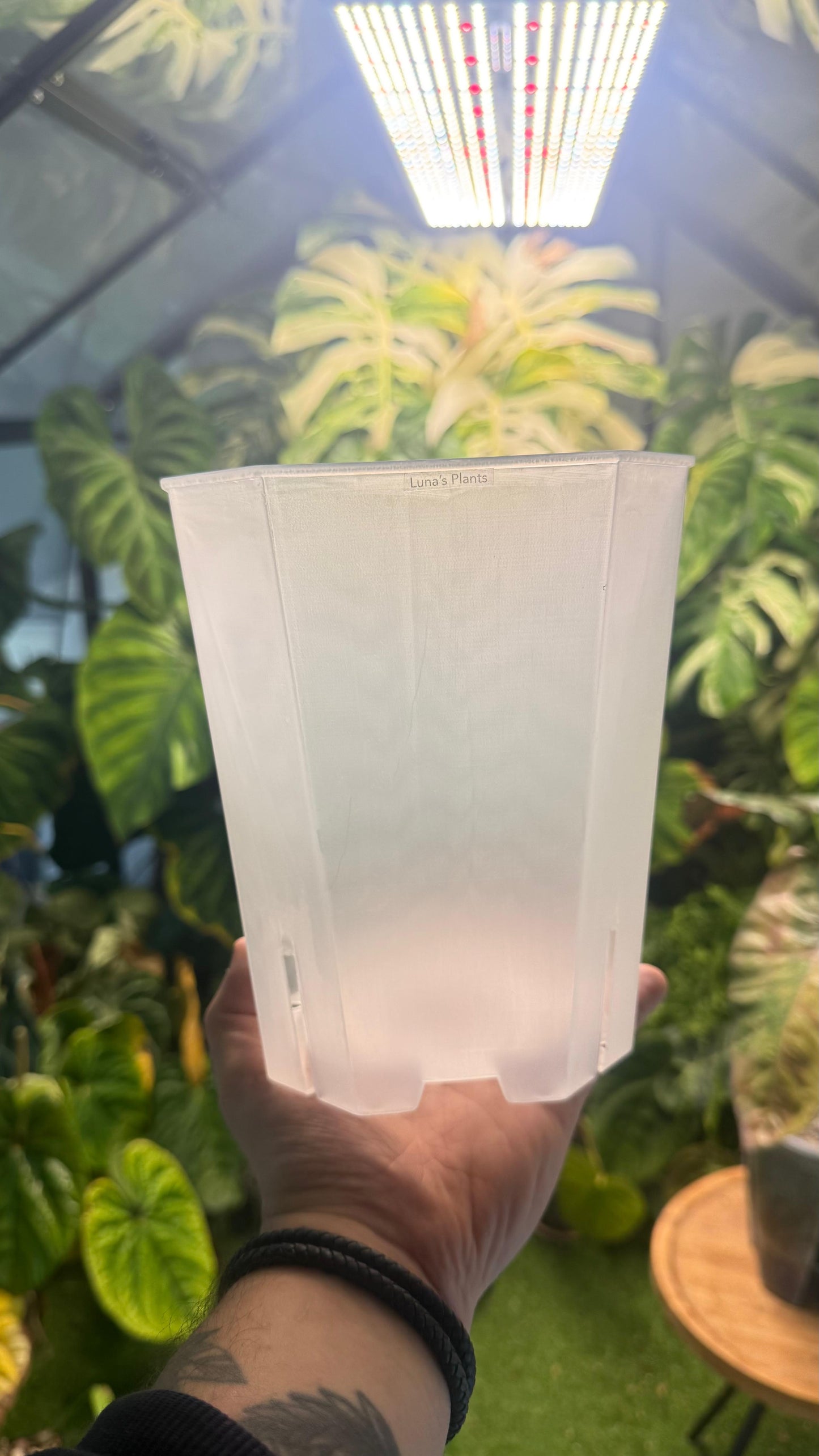 Squared Aroid Tower Pots