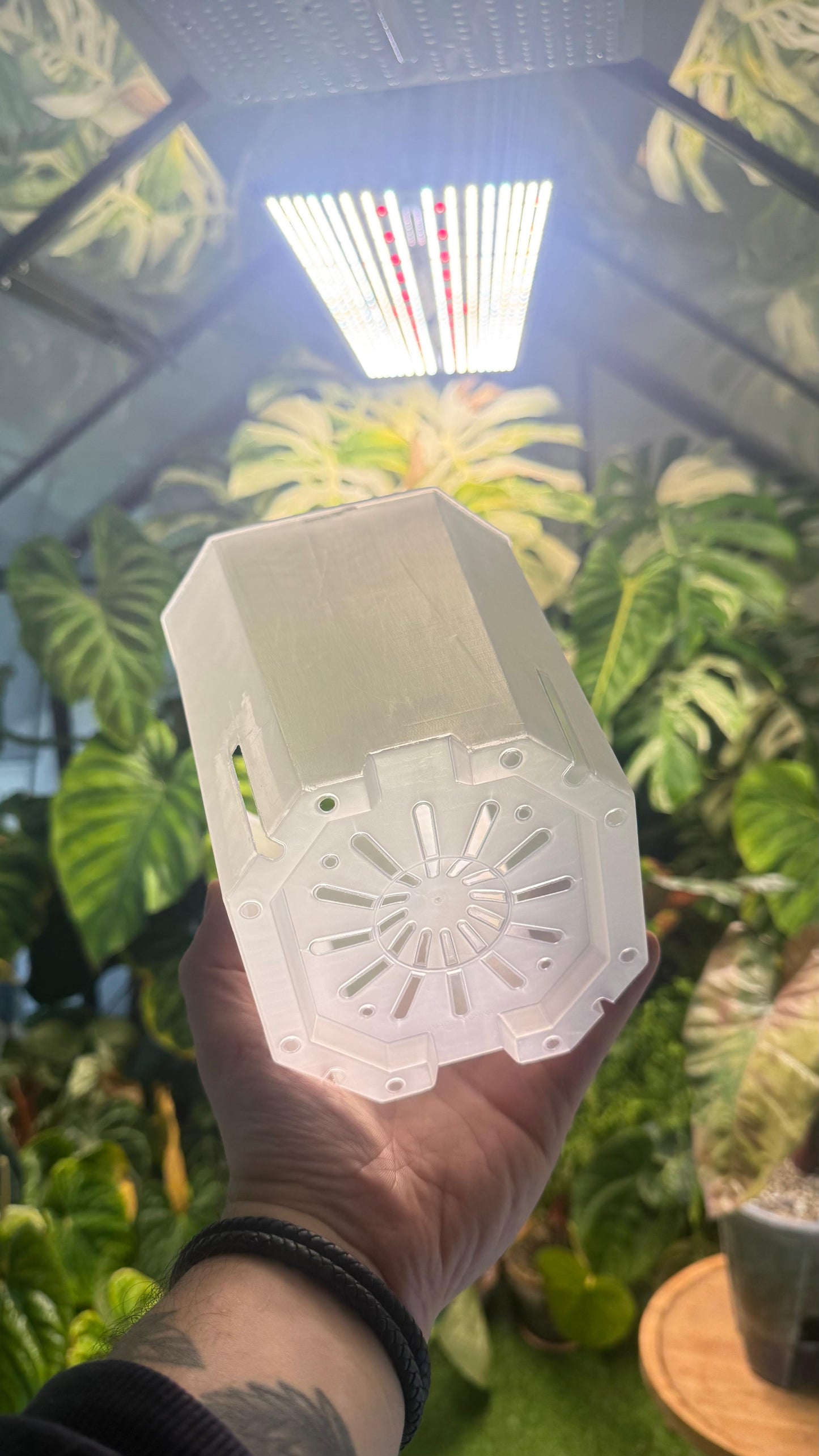 Squared Aroid Tower Pots