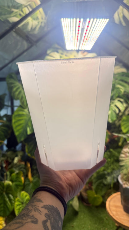 Squared Aroid Tower Pots