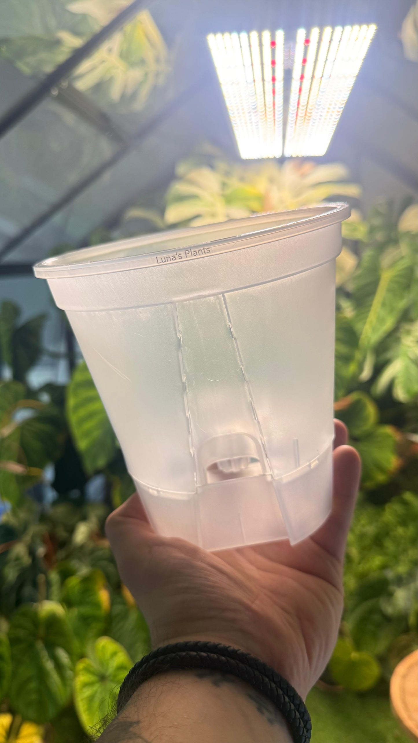 Self-Watering Aroid Pots