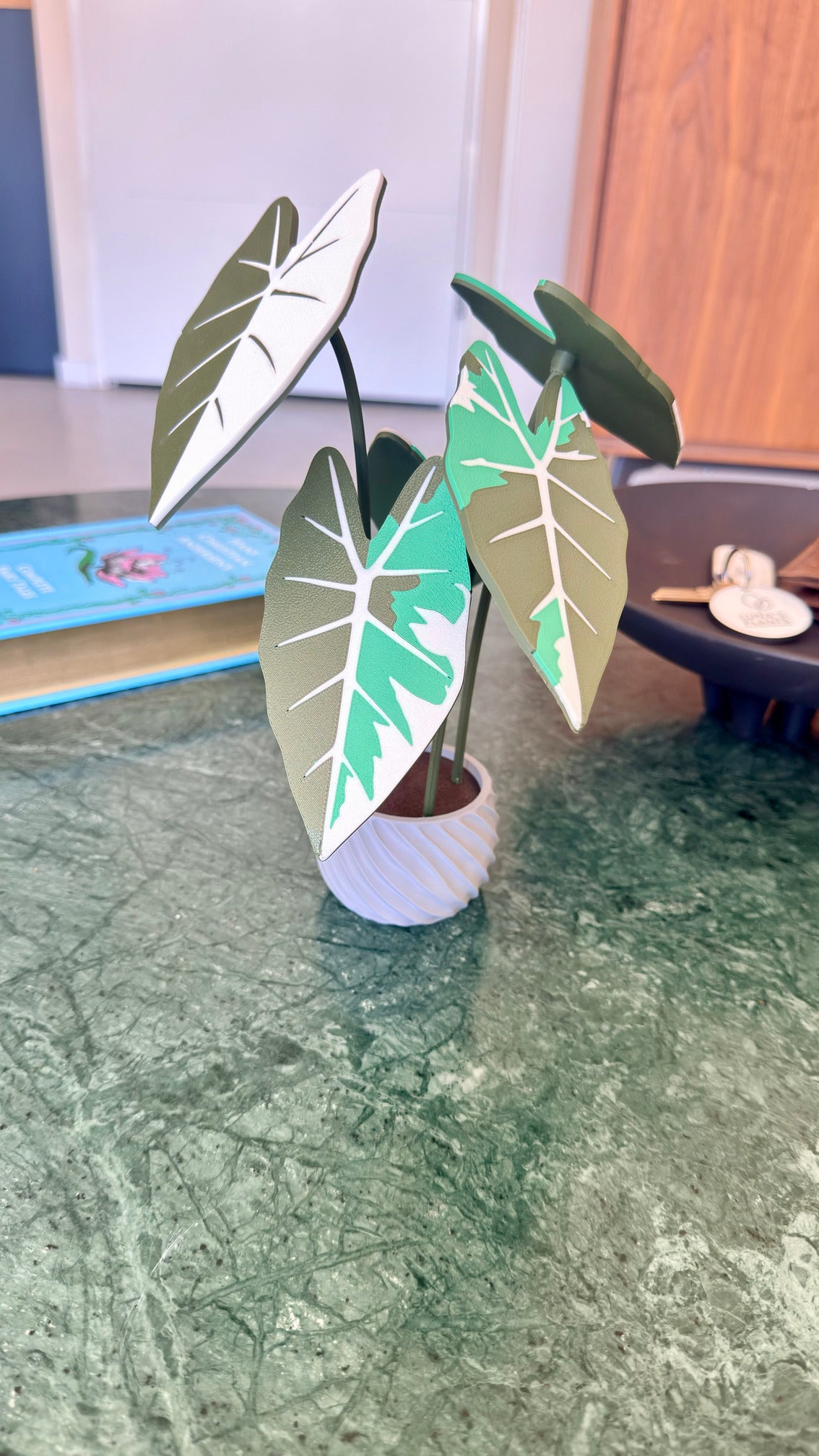 Alocasia Frydek Coaster Set — Albo / Aurea