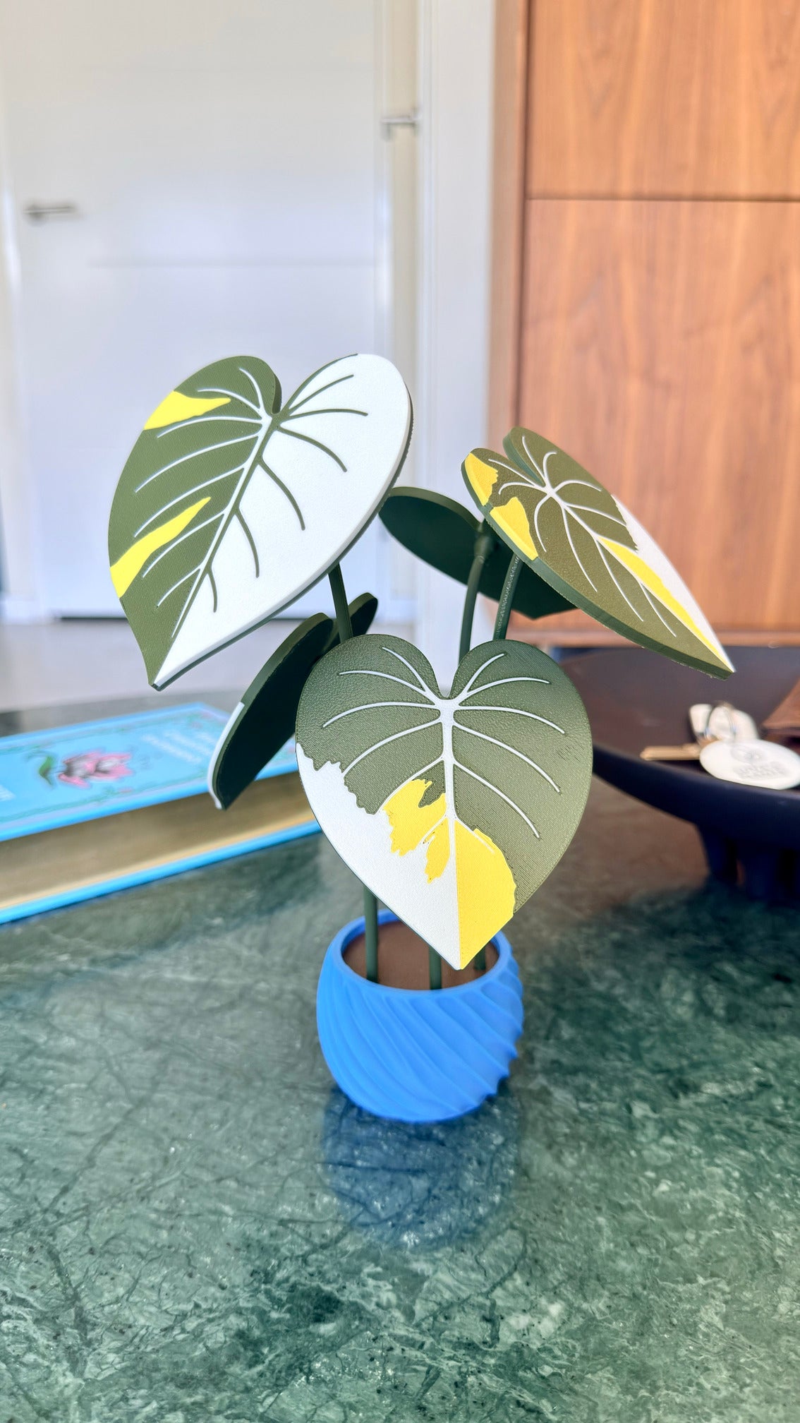 Philodendron Gloriosum Coaster Set — Albo / Tricolor