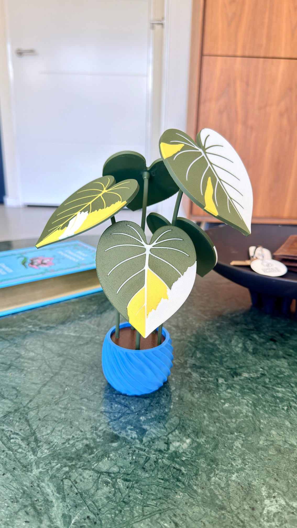 Philodendron Gloriosum Coaster Set — Albo / Tricolor