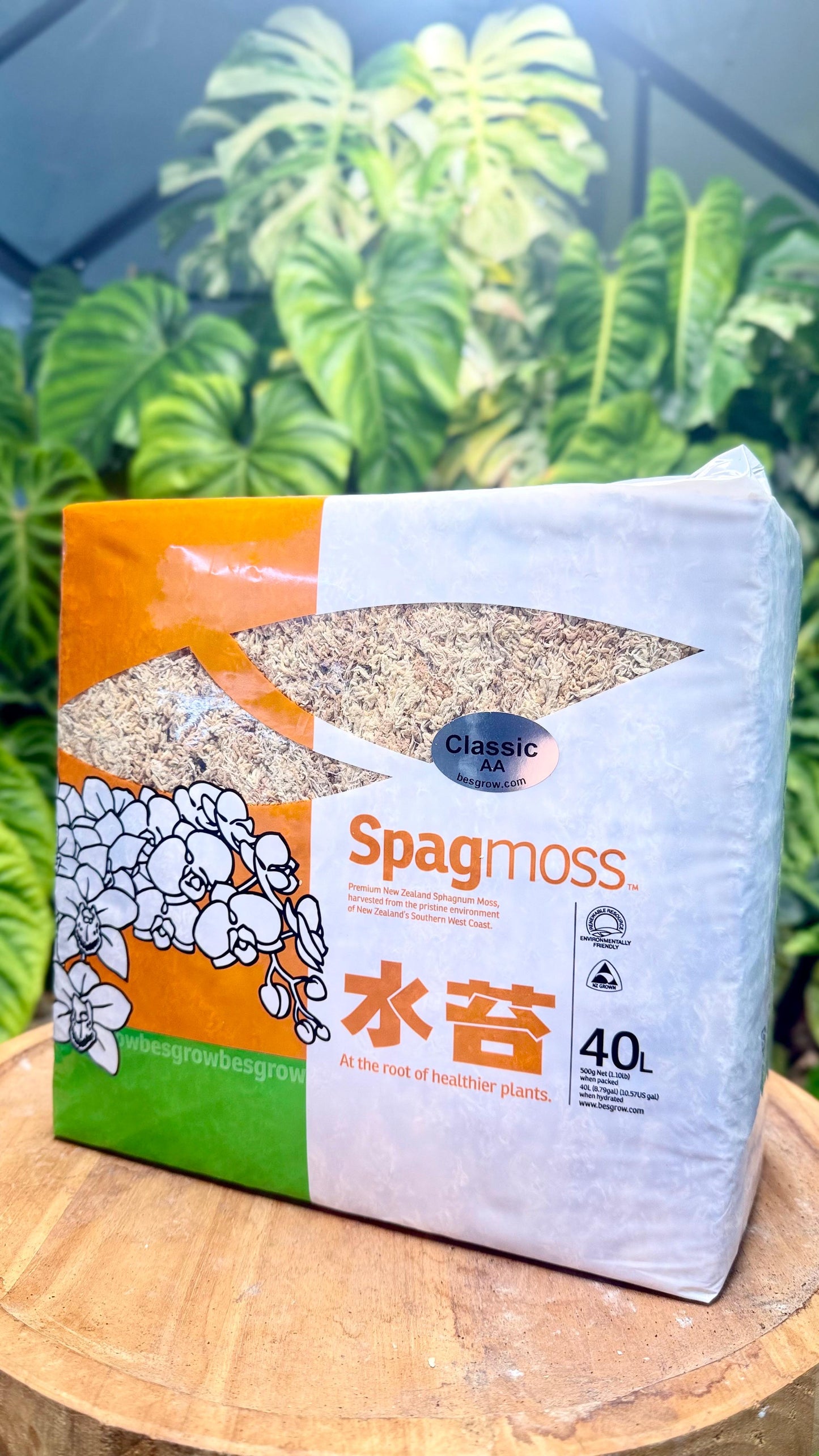 New-Zealand Sphagnum Moss