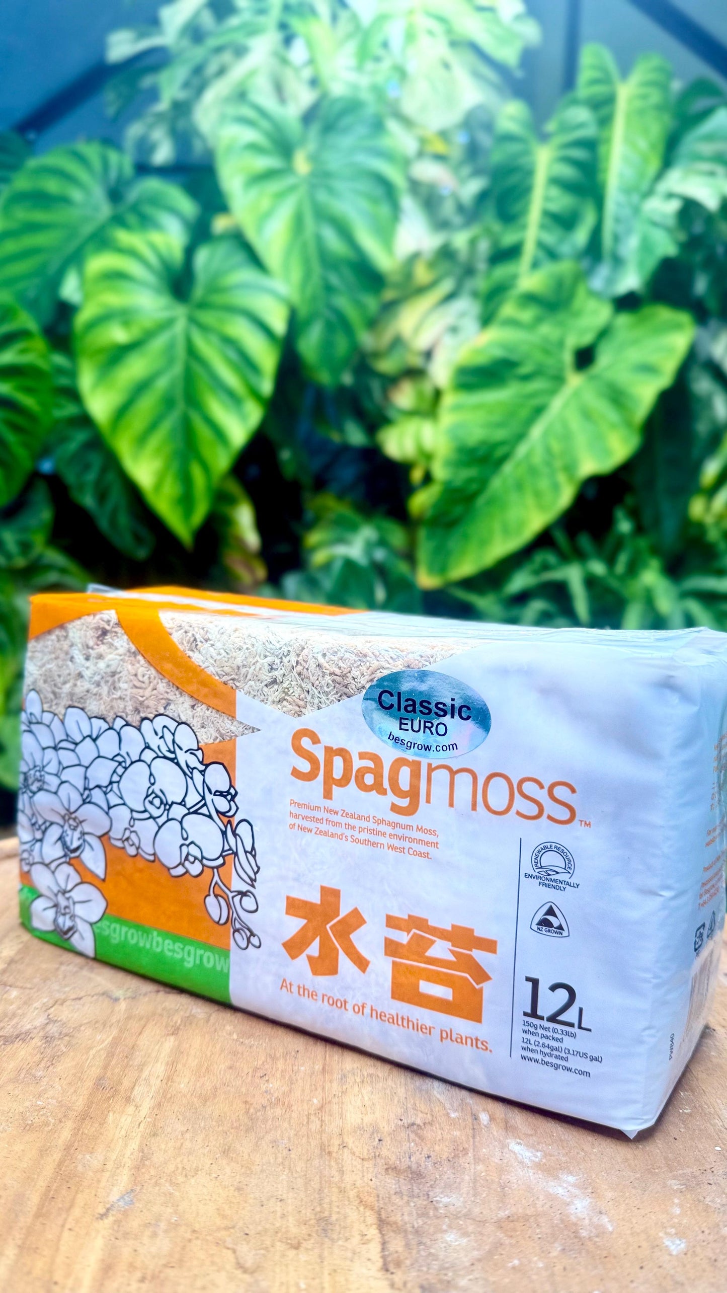 New-Zealand Sphagnum Moss