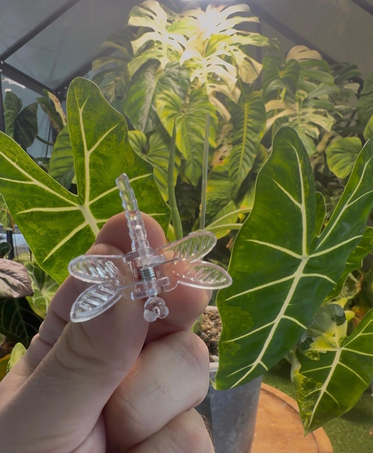 Plant Support Clips – Butterfly & Dragonfly
