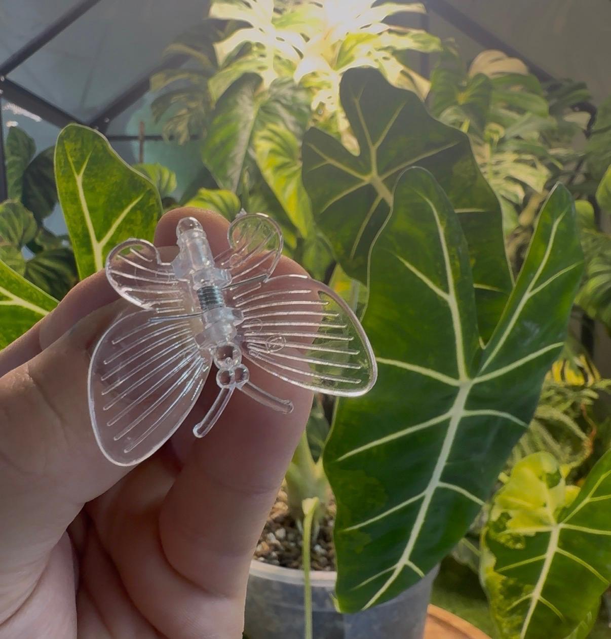 Plant Support Clips – Butterfly & Dragonfly