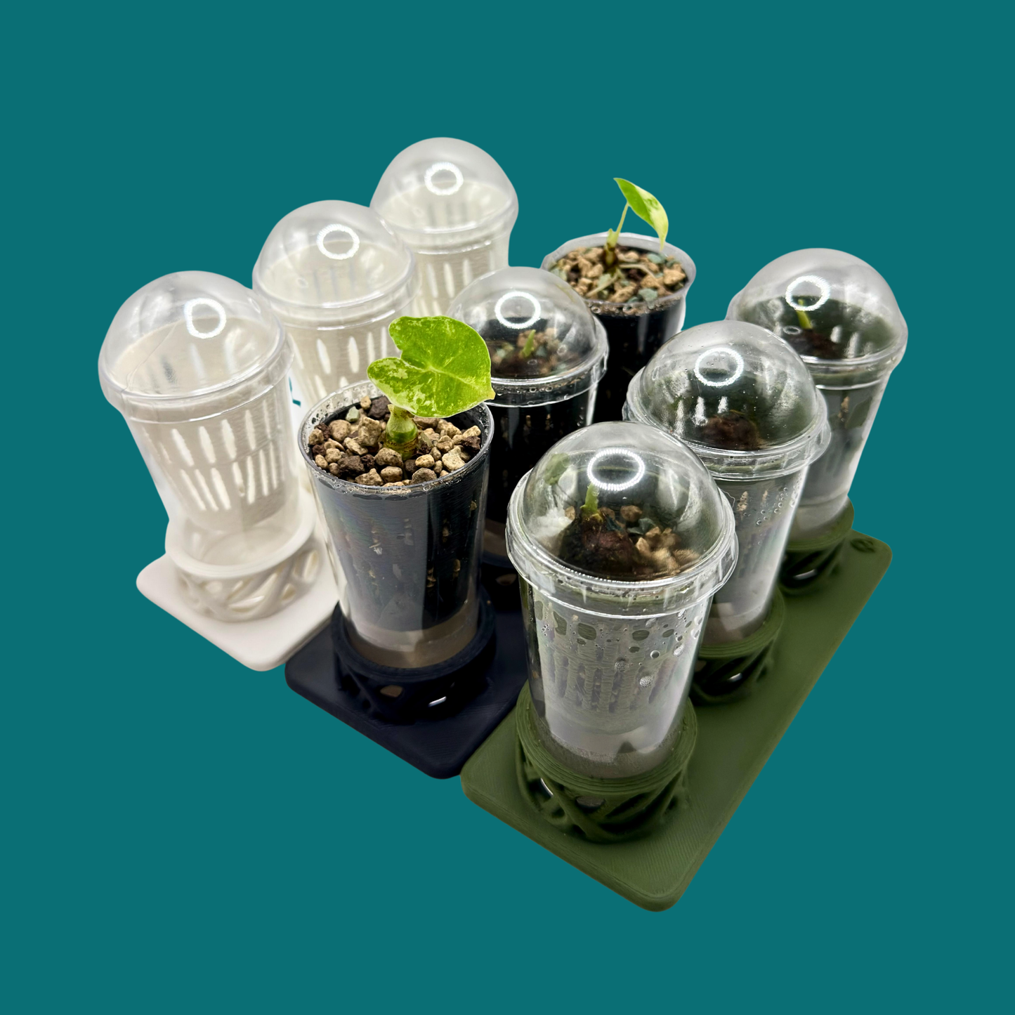 Rhiza Set – Propagation System (3 Cups)