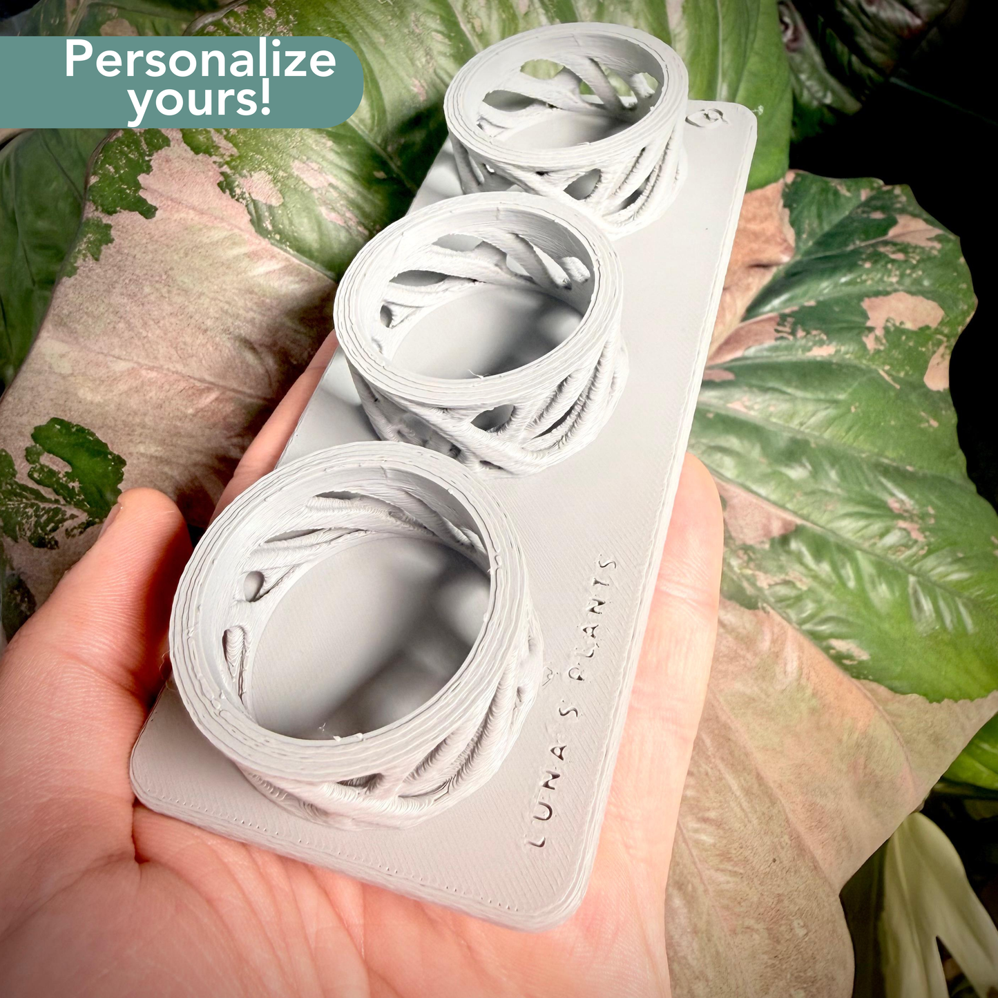 Rhiza Set – Propagation System (3 Cups)