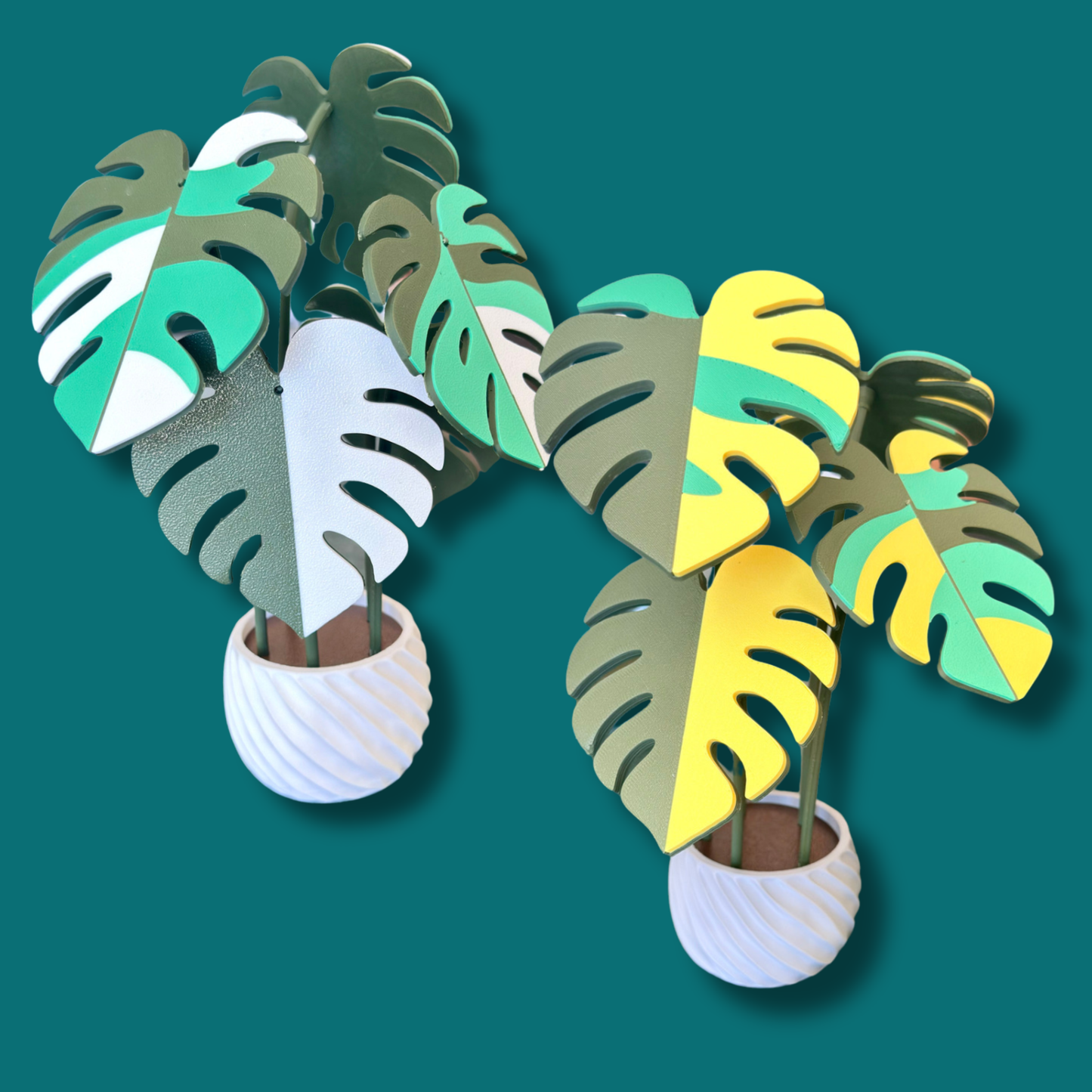 Monstera Coaster Set — Albo / Aurea