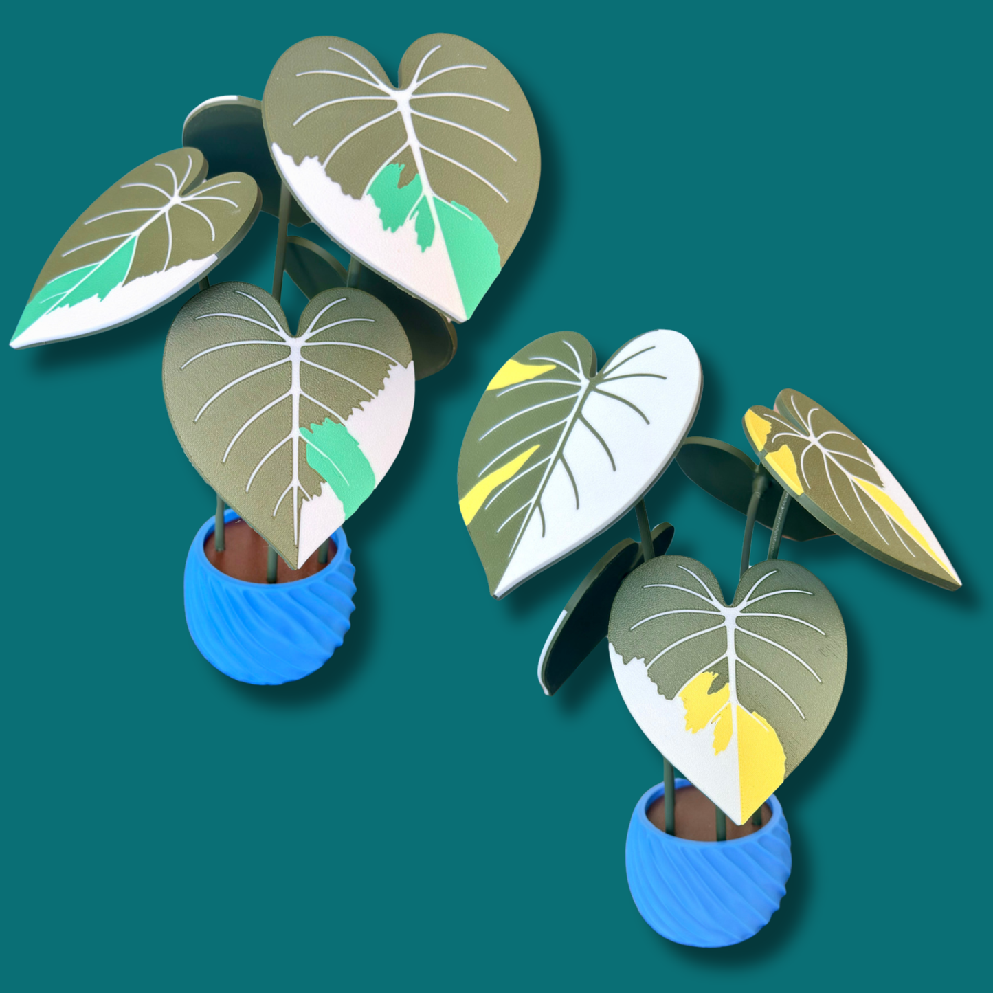 Philodendron Gloriosum Coaster Set — Albo / Tricolor