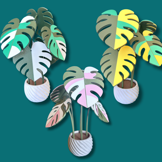 Monstera Coaster Set — Albo / Aurea / Pink