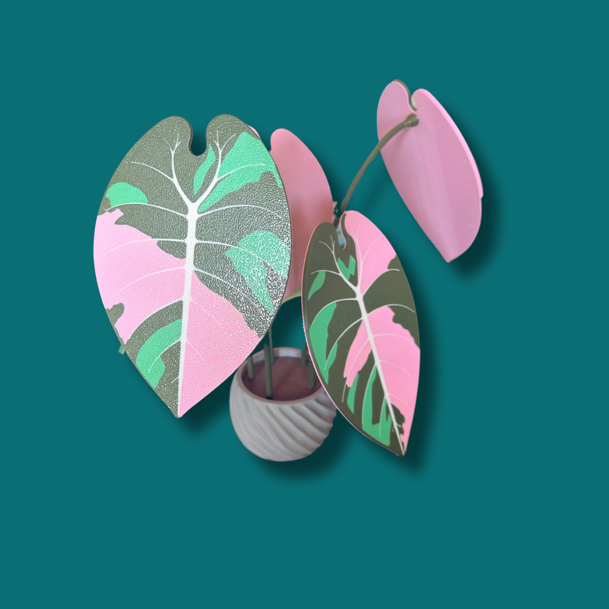 Alocasia Watsoniana Coaster Set — Pink