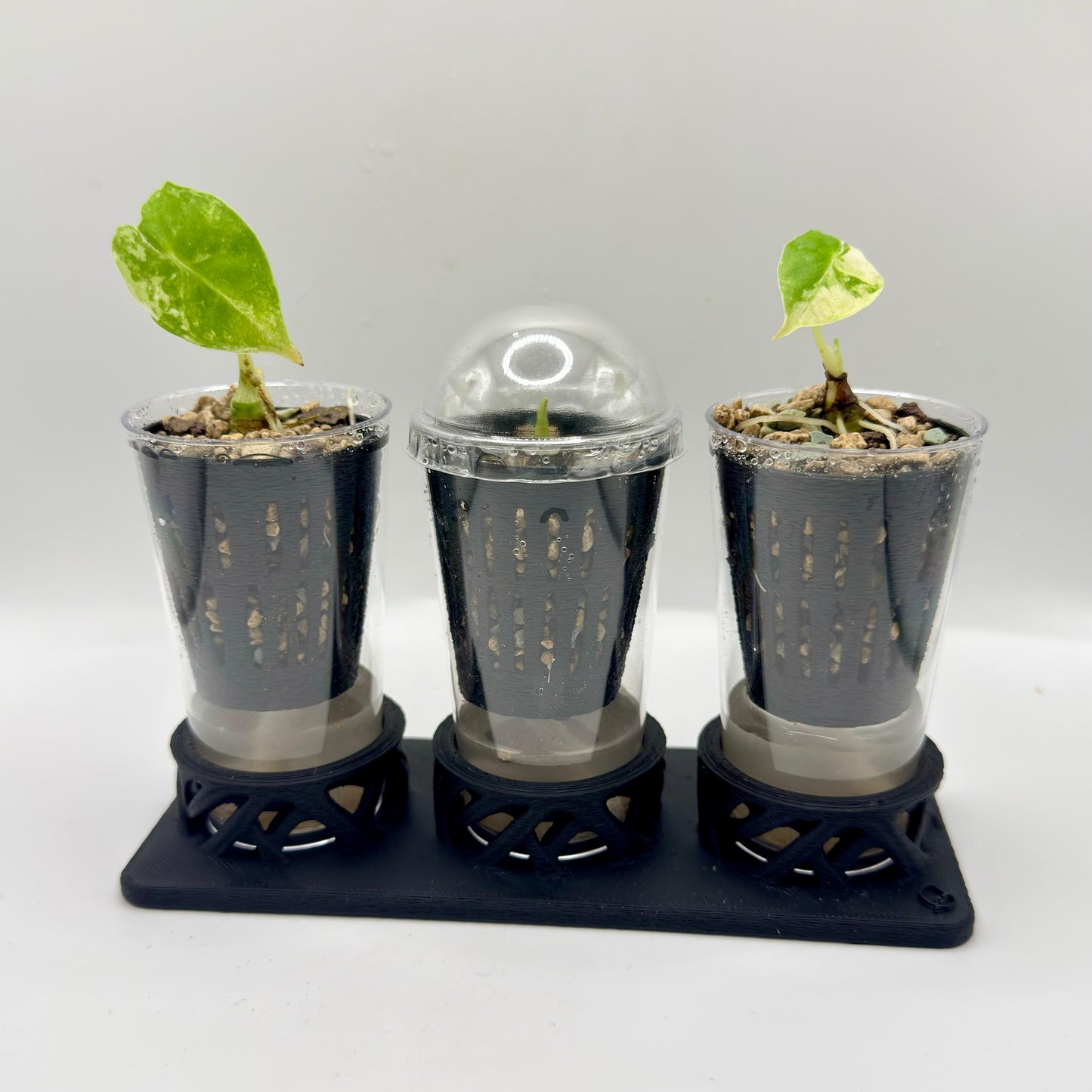 Rhiza Set – Propagation System (3 Cups)