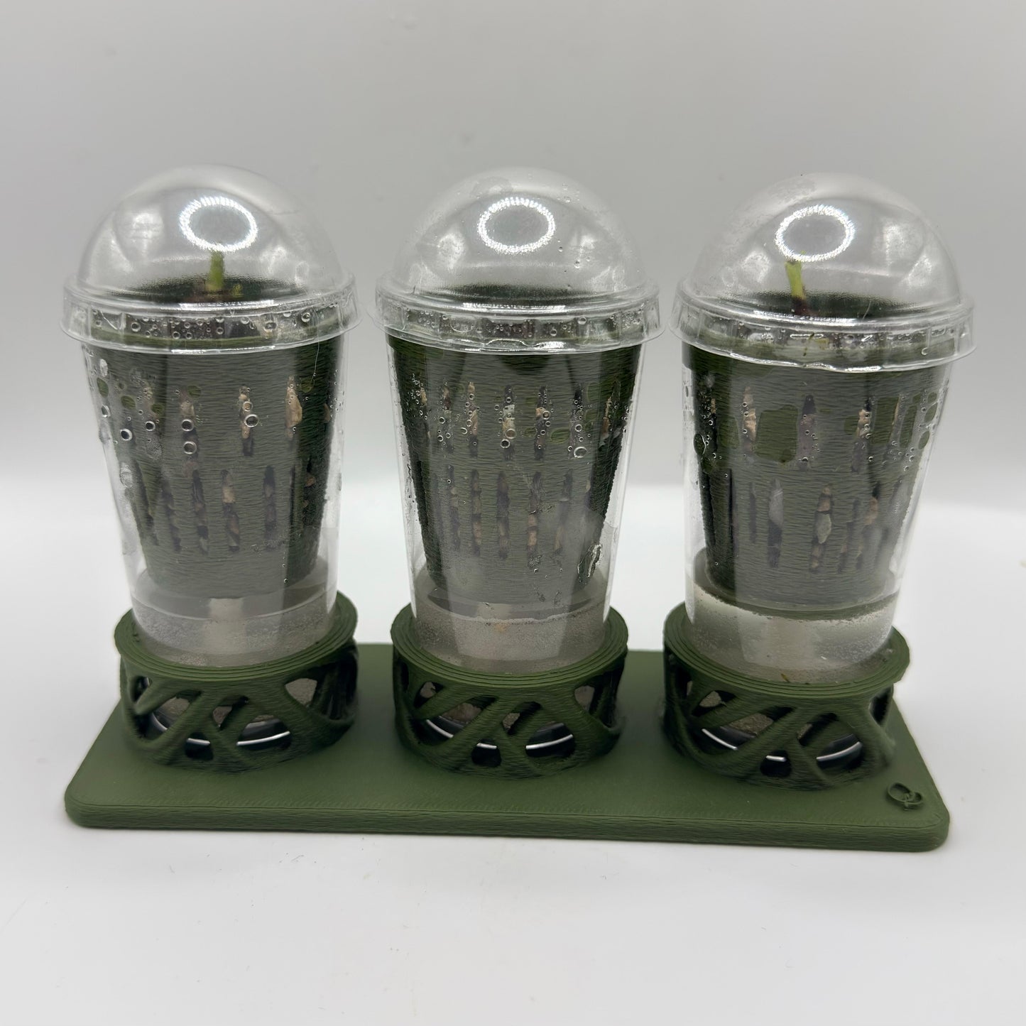 Rhiza Set – Propagation System (3 Cups)