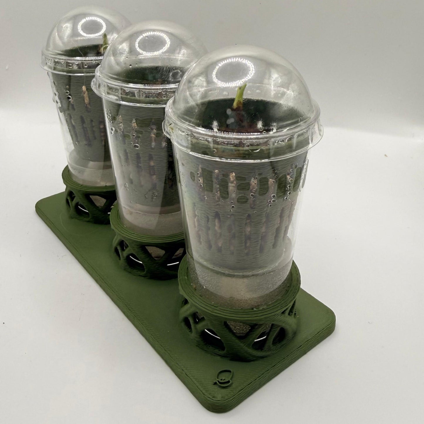 Rhiza Set – Propagation System (3 Cups)