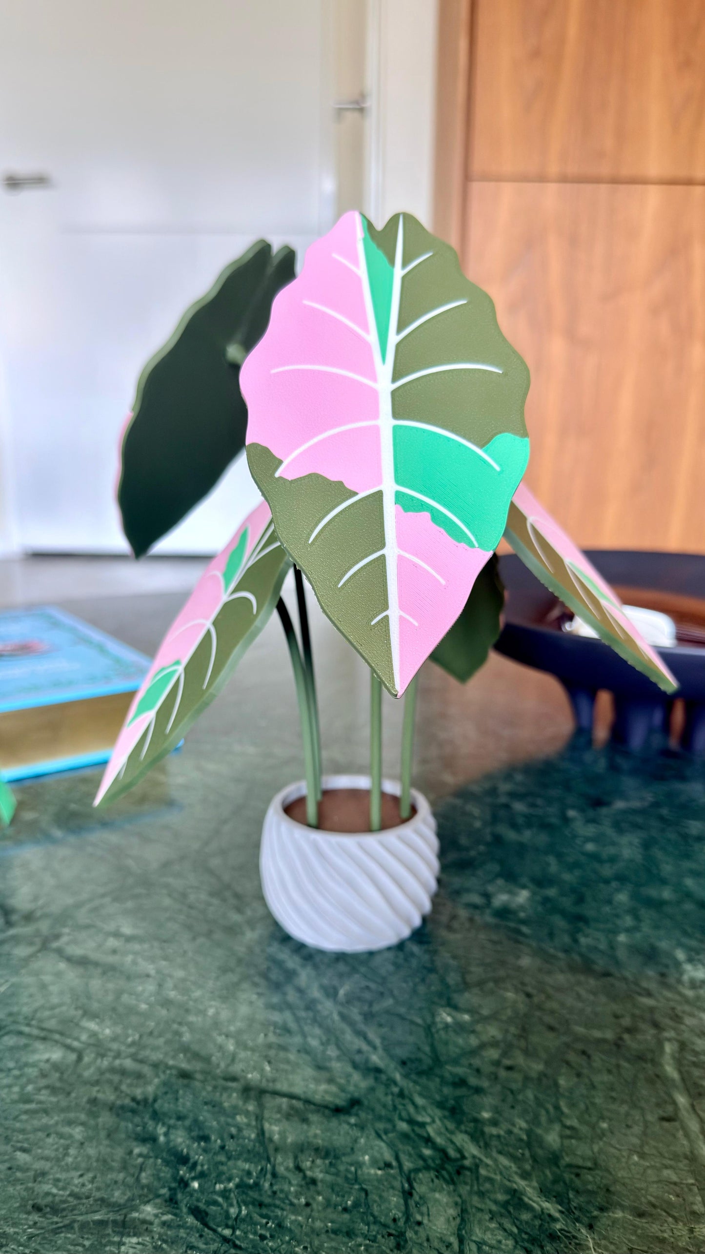 Alocasia Chantrieri Coaster Set — Pink