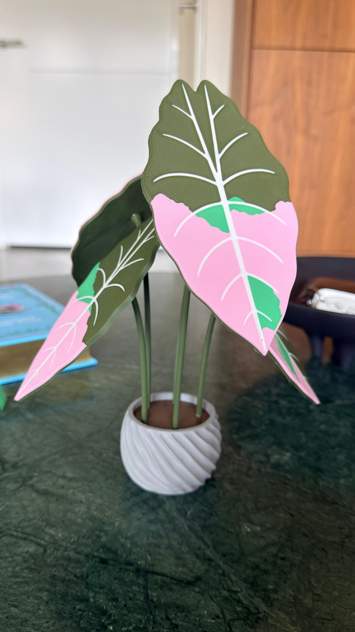 Alocasia Chantrieri Coaster Set — Pink