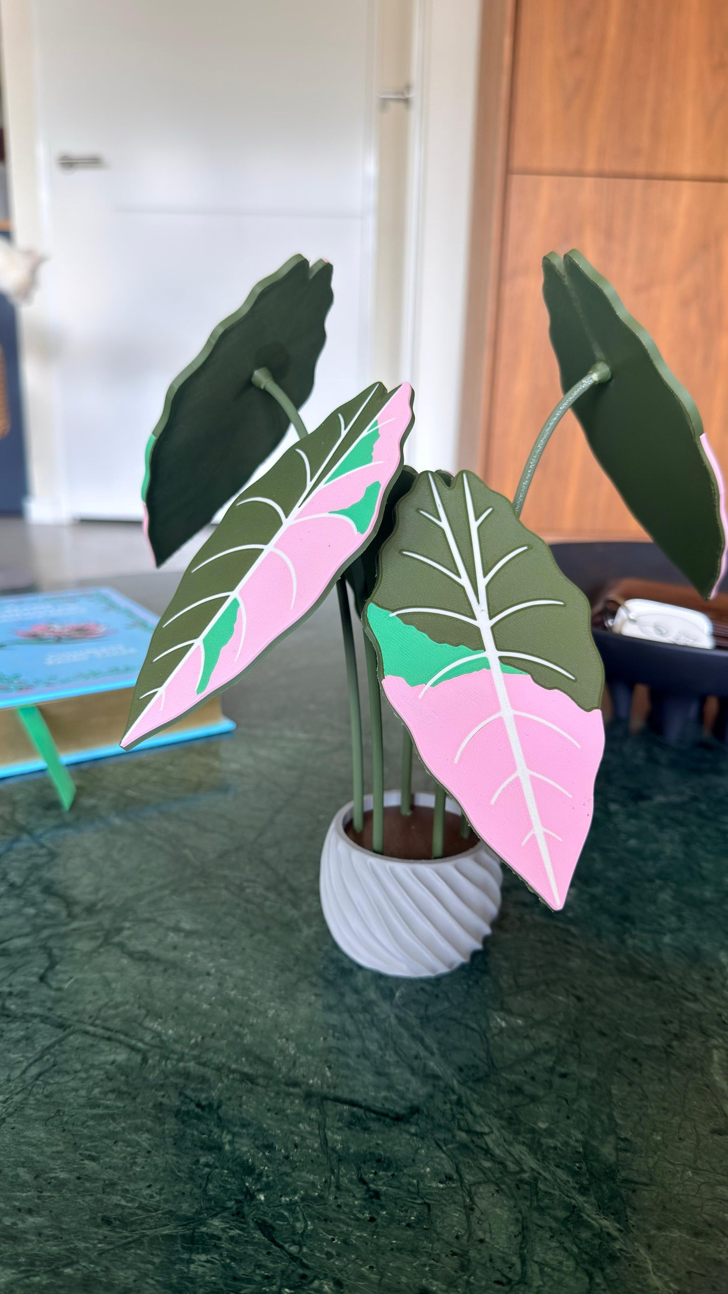 Alocasia Chantrieri Coaster Set — Pink